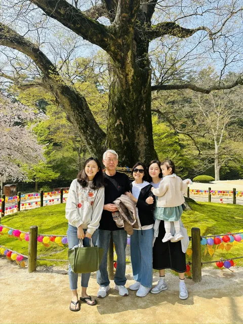 군산·부안·서천 봄 여행